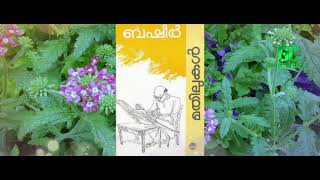 ബഷീർ കൃതികൾ പരിചയപ്പെടാം  Basheer Krithikal  Vaikom Muhammad Basheer  Books  Basheer Dinam Quiz [upl. by Mala]