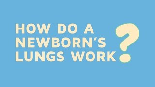 How Do A Newborns Lungs Work [upl. by Tsew868]