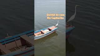 Rio Capibaribe [upl. by Nnewg785]