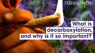 What is decarboxylation and why is it so important  Weed Easy [upl. by Lieberman]