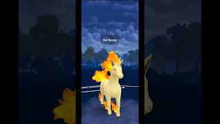 Rapidash vs Azumarill🔥Pokemon go pokemongo jinfreecspok JINFREECSPOK [upl. by Cohberg]