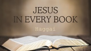 Jesus In Every Book  Haggai [upl. by Janenna]