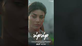 Sip Sip Coffee  Sucha Yaar punjabimusic newpunjabisong [upl. by Goar]