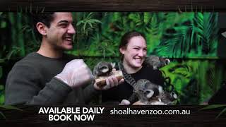 VIP Encounter at Shoalhaven Zoo [upl. by Anhavas]