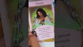 🐱🪶YOUR ANGELS WANTS YOU TO KNOW THIS pt 1🔮🐱 solunar tarot  fortunetelling tarot angelmassage [upl. by Horvitz863]