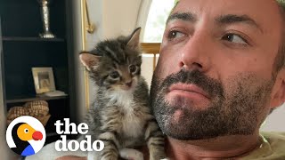 PhoneSized Kitten Turns Guy Into A Cat Person  The Dodo [upl. by Nereus]