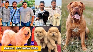 LATEST DOG SHOW IN KARNALHARYANA😱  CHEAPEST PUPPY MARKET IN KARNAL 🔥 [upl. by Bierman698]