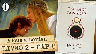 A SOCIEDADE DO ANEL Livro II  Cap 8 Adeus a Lórien feat ReinaldoJoseLopes  LIVE 22 [upl. by Anirtal539]