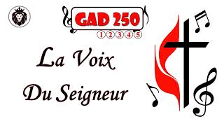 Gloire à Dieu N° 250 « La Voix du Seigneur » Paroles ÉGLISE MÉTHODISTE UNIE [upl. by Winnie]