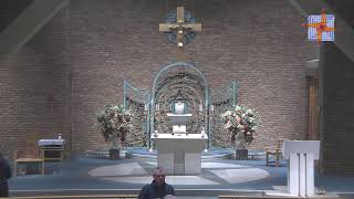 Mass from St Brigids Parish Belfast [upl. by Ayerdna]