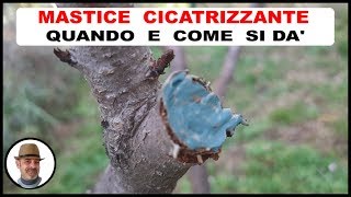 COME SI APPLICA IL MASTICE CICATRIZZANTE [upl. by Adiana443]