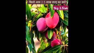 miyazaki mango 1kg 25 lakh mango nature naturephotography trending [upl. by Ginger304]