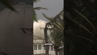 Super Typhoon vs Typhoon Whats the Difference [upl. by Iver]