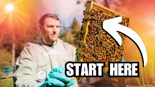 How To Start Beekeeping [upl. by Htial]