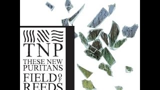 These New Puritans  Field of reeds Full album [upl. by Ainav]