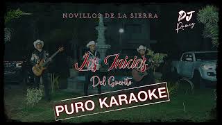 Los Inicios Del GueritoNovillos De La SierraKaraoke🔥🎤 [upl. by Tirreg193]