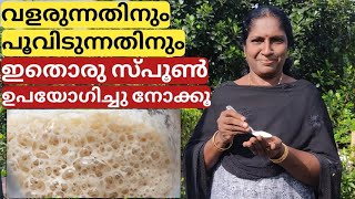 യീസ്റ്റ് ഉപയോഗിച്ചുള്ള ജൈവ വളം  Yeast fertilizer  Malayalam [upl. by Nashoma768]