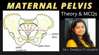 MATERNAL PELVISDetailed Theory and MCQ discussion [upl. by Peltier]