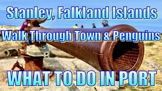 Stanley Falkland Islands  Walk Through Town  What to Do in Port [upl. by Cerys]