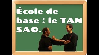 Apprendre le WingTsun Episode 8 Le tan sao [upl. by Oulman493]