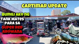 LATEST CARTIMAR FISH UPDATE‼️Bumili ako ng Bagong TANK MATES para sa SUPER RED AROWANA😱😱😱 [upl. by Hazlip519]