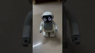 Amazing Dancing Robot Robert Unboxing the Fun Tech Gadget Review [upl. by Yellat943]