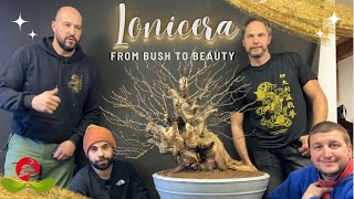 Lonicera from Bush to Beauty [upl. by Sew]