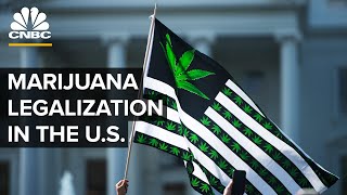 Is Marijuana Legalization Inevitable In The US [upl. by Rma]