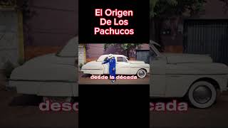 El Origen De Los Pachucos Tribus Urbanas De México vivamexico pachuco [upl. by Assirroc]