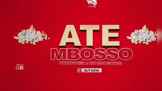 Mbosso Ate Cover By Zuchu Official Audio music [upl. by Ainafets]