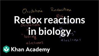 Oxidation and reduction review from biological pointofview  Biomolecules  MCAT  Khan Academy [upl. by Nylinej621]