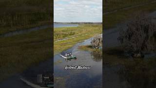 Airboat Racing newmusic florida airboat boatracing racing [upl. by Ullman]