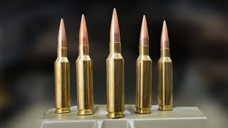 Most Accurate 65 Creedmoor Ammo [upl. by Bradney]