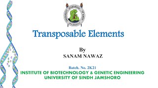 Transposable Elements Discovery of Transposable Elements [upl. by Artemla]