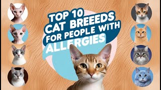 Top 10 Cat Breeds for People with Allergies [upl. by Honoria166]