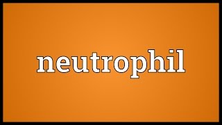 Neutrophil Meaning [upl. by Ynatil586]