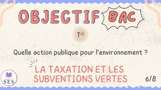 BAC Cours Environnement  La taxation et les subventions vertes [upl. by Hescock]