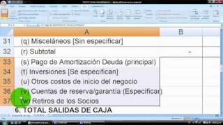 Cómo hacer un Presupuesto  Flujo de Caja cash flow en Excel  vídeo 2 planilla gratis [upl. by Ynatterb]