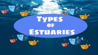 Types of estuaries [upl. by Bartle]