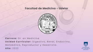 Histología 4  Hígado vías biliares y páncreas [upl. by Ulrick434]