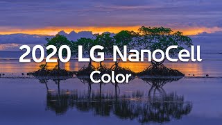 2020 LG NanoCell l Color HDR 60fps [upl. by Aneelehs]