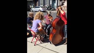 The Farwells Dusty Miller Old Time Fiddle Tune Debra Clifford amp Becca Wintle [upl. by Notffilc]