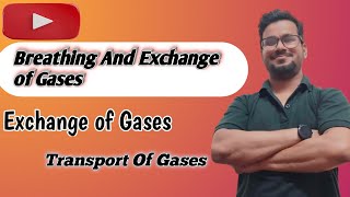 Breathing And Exchange of Gases  Part  5  Exchange of Gases  Transport Of Gases  NEET 11th Bio [upl. by Airad]