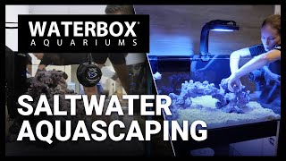 Saltwater aquascaping aquariums lets explore some of our favorites here at Waterbox  Episode 169 [upl. by Selrahcnhoj]