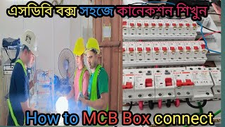 এসডিবি বক্স সহজে কানেকশন শিখুন  How to mcb box connection  2024 [upl. by Christen]