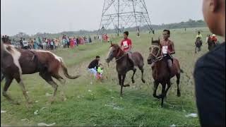 horse racing accident 😳😮😮 [upl. by Htebazie]