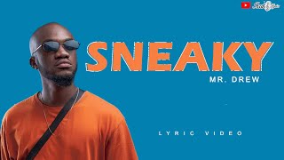 Mr Drew  SNEAKY lyric video ixakalyrics [upl. by Mchenry]