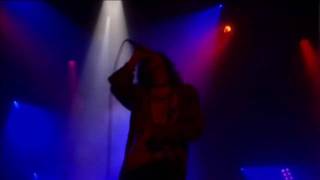 DespairsRay  M05 Cocoon 【Live HD】 [upl. by Jerrilee]