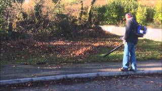 In Use Video Hyundai HYB33 Petrol Backpack Leaf Blower [upl. by Unni827]