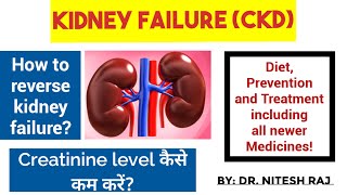 Creatinine कैसे कम करेंकिडनीkidney disease treatmentkidney failure treatment CKD drniteshraj [upl. by Wayne265]